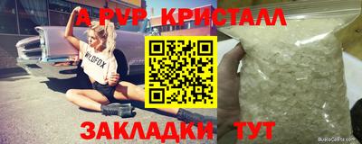PSILOCYBIN Пугачёв