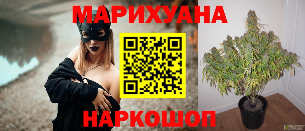 Конопля ГИДРОПОН  Бошки Шишки сатива  Вход с VPN  Шишки марихуана сатива  Сосновый Бор  Бошки марихуана марихуана 